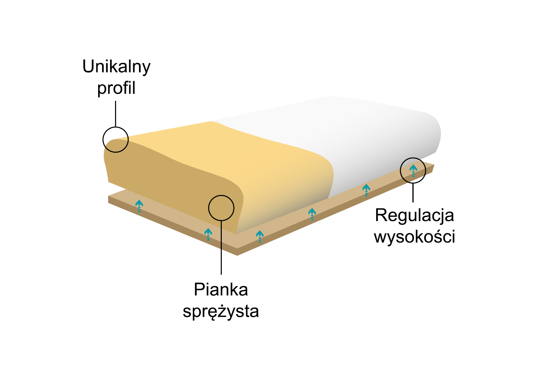 Poduszka ortopedyczna Morfeusz Klasyczny
